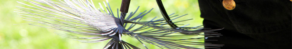 Banner - Roberto Riedel